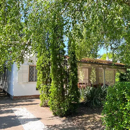 Kiwi By Interhome Holiday home